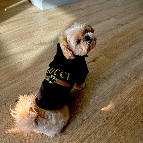 Meet your Posher, Ali - Picture 1 of 1